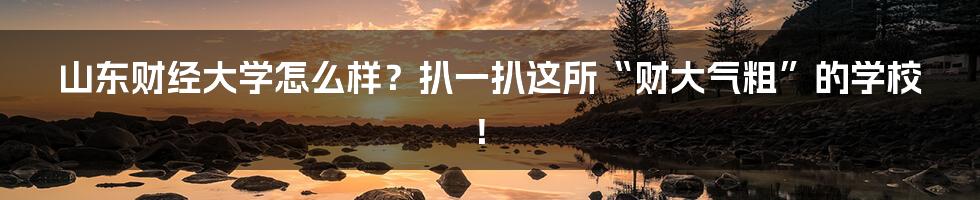 山东财经大学怎么样？扒一扒这所“财大气粗”的学校！