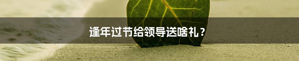 逢年过节给领导送啥礼？