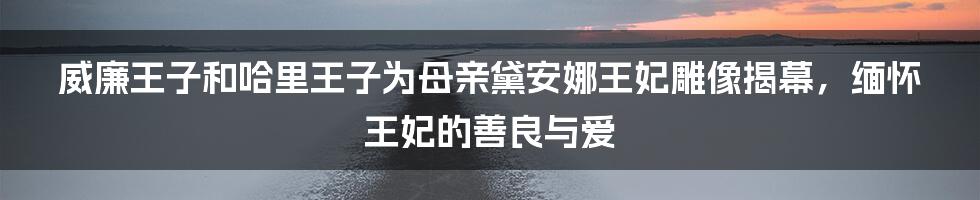 威廉王子和哈里王子为母亲黛安娜王妃雕像揭幕，缅怀王妃的善良与爱