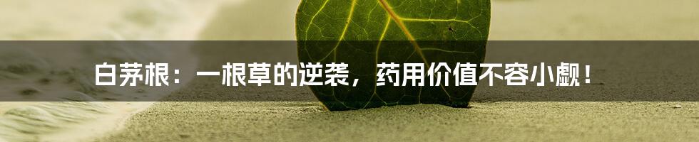 白茅根：一根草的逆袭，药用价值不容小觑！