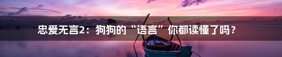 忠爱无言2：狗狗的“语言”你都读懂了吗？