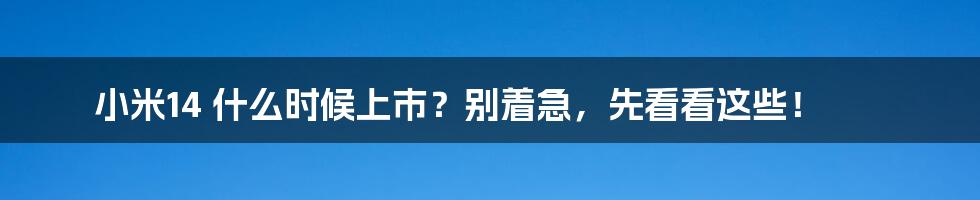 小米14 什么时候上市？别着急，先看看这些！