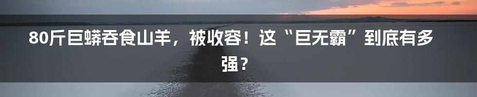 80斤巨蟒吞食山羊，被收容！这“巨无霸”到底有多强？