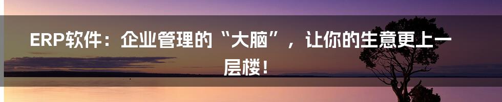 ERP软件：企业管理的“大脑”，让你的生意更上一层楼！