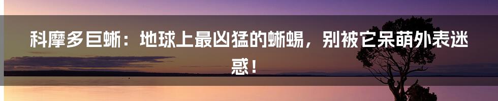 科摩多巨蜥：地球上最凶猛的蜥蜴，别被它呆萌外表迷惑！