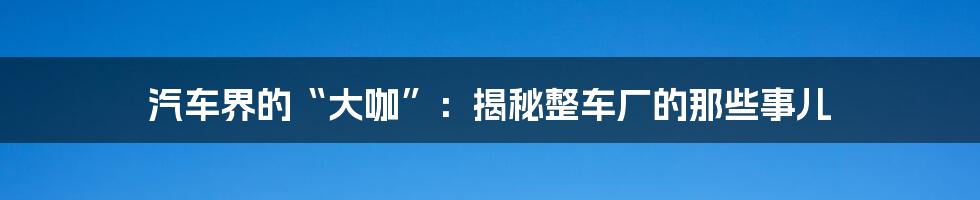 汽车界的“大咖”：揭秘整车厂的那些事儿