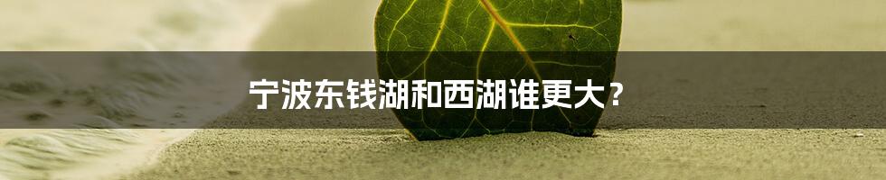 宁波东钱湖和西湖谁更大？