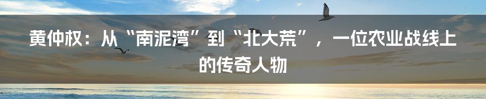 黄仲权：从“南泥湾”到“北大荒”，一位农业战线上的传奇人物