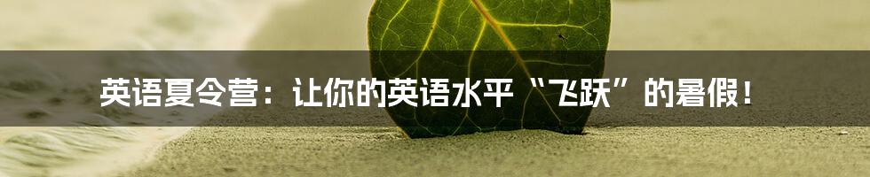 英语夏令营：让你的英语水平“飞跃”的暑假！