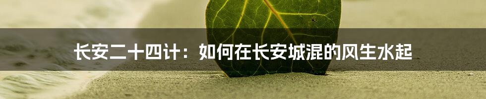 长安二十四计：如何在长安城混的风生水起