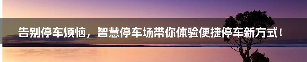 告别停车烦恼，智慧停车场带你体验便捷停车新方式！