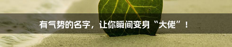 有气势的名字，让你瞬间变身“大佬”！