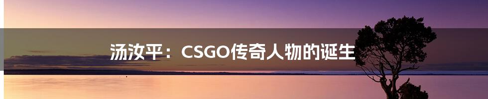 汤汝平：CSGO传奇人物的诞生