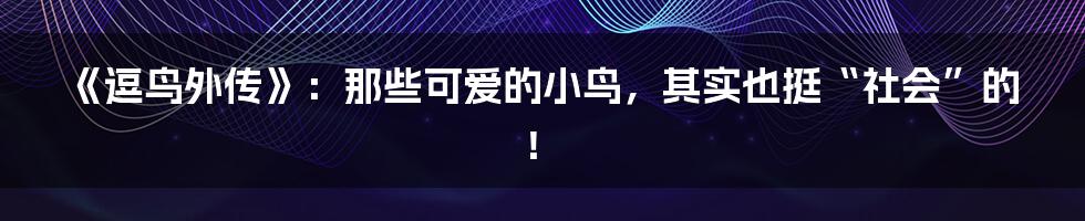 《逗鸟外传》：那些可爱的小鸟，其实也挺“社会”的！