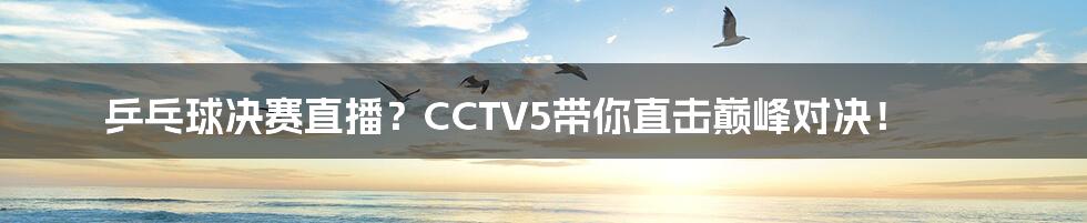 乒乓球决赛直播？CCTV5带你直击巅峰对决！