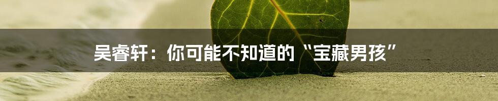 吴睿轩：你可能不知道的“宝藏男孩”