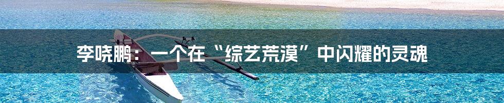 李哓鹏：一个在“综艺荒漠”中闪耀的灵魂