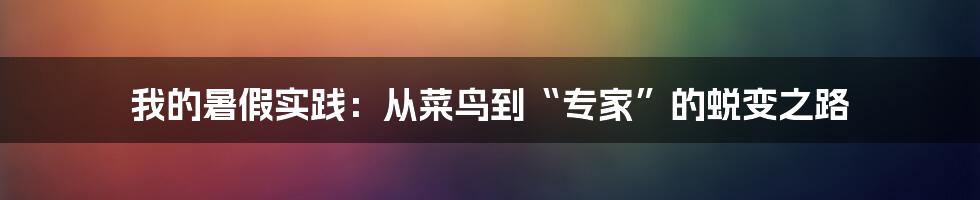 我的暑假实践：从菜鸟到“专家”的蜕变之路