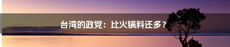 台湾的政党：比火锅料还多？