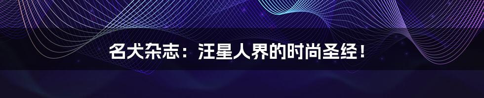 名犬杂志：汪星人界的时尚圣经！