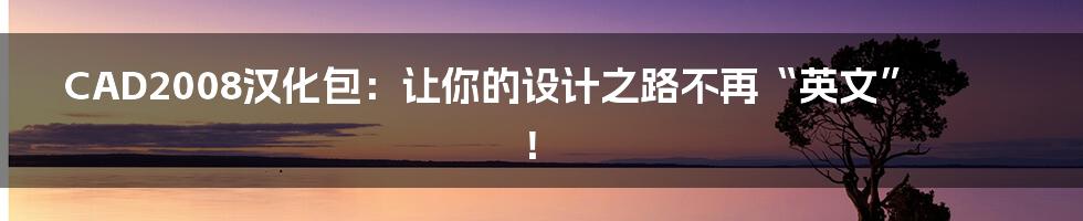 CAD2008汉化包：让你的设计之路不再“英文”！