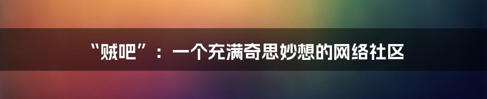 “贼吧”：一个充满奇思妙想的网络社区