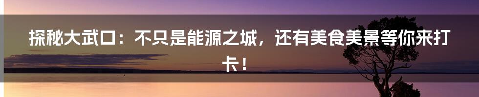 探秘大武口：不只是能源之城，还有美食美景等你来打卡！