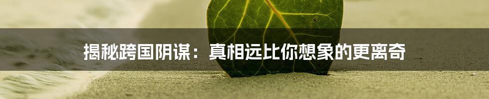 揭秘跨国阴谋：真相远比你想象的更离奇