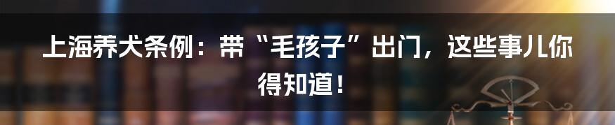 上海养犬条例：带“毛孩子”出门，这些事儿你得知道！