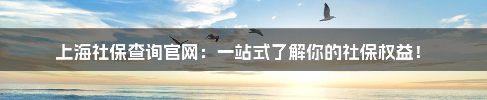 上海社保查询官网：一站式了解你的社保权益！