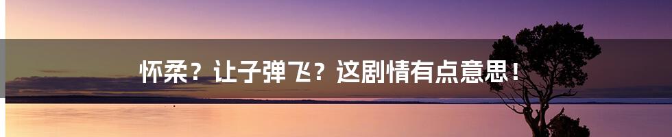 怀柔？让子弹飞？这剧情有点意思！