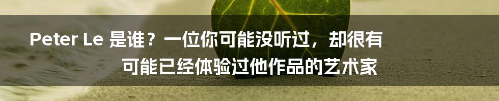 Peter Le 是谁？一位你可能没听过，却很有可能已经体验过他作品的艺术家