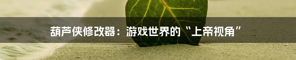 葫芦侠修改器：游戏世界的“上帝视角”