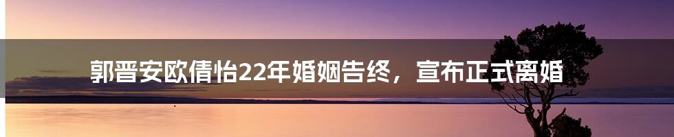 郭晋安欧倩怡22年婚姻告终，宣布正式离婚