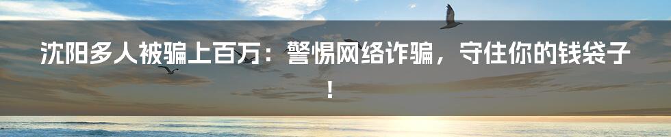 沈阳多人被骗上百万：警惕网络诈骗，守住你的钱袋子！