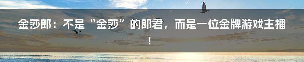 金莎郎：不是“金莎”的郎君，而是一位金牌游戏主播！