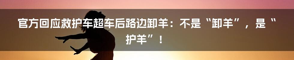 官方回应救护车超车后路边卸羊：不是“卸羊”，是“护羊”！