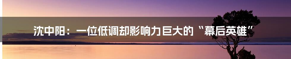 沈中阳：一位低调却影响力巨大的“幕后英雄”