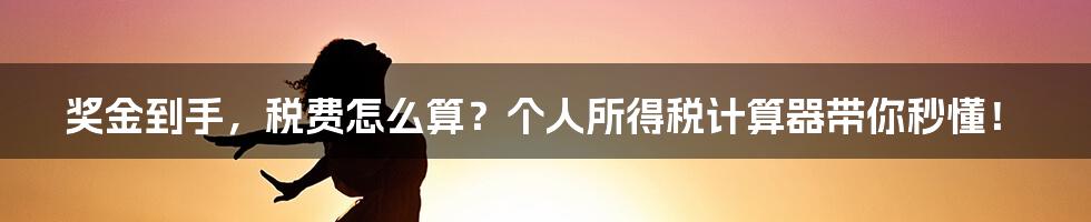 奖金到手，税费怎么算？个人所得税计算器带你秒懂！