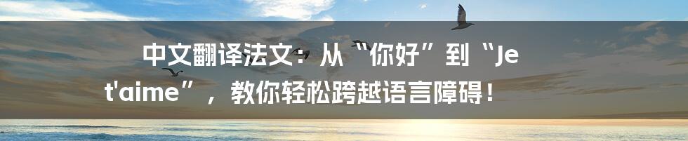 中文翻译法文：从“你好”到“Je t'aime”，教你轻松跨越语言障碍！