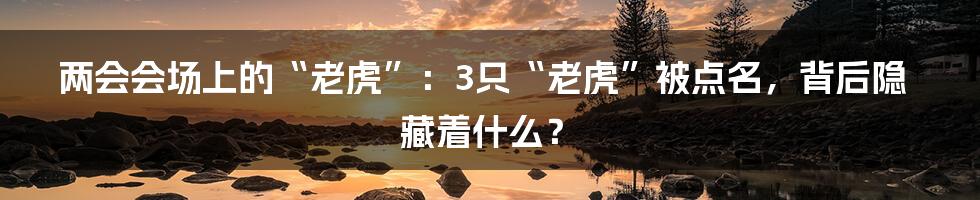 两会会场上的“老虎”：3只“老虎”被点名，背后隐藏着什么？