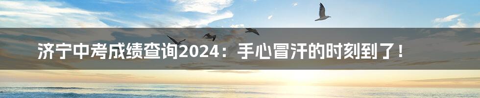 济宁中考成绩查询2024：手心冒汗的时刻到了！