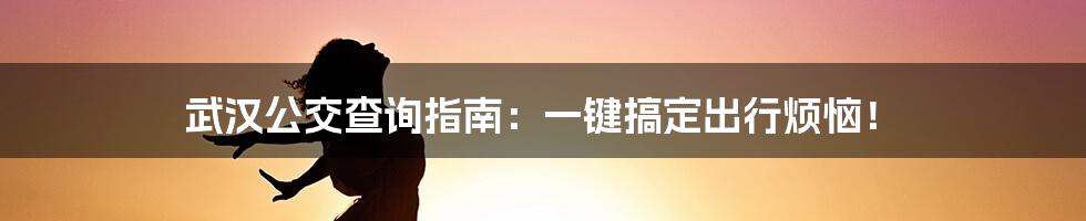 武汉公交查询指南：一键搞定出行烦恼！