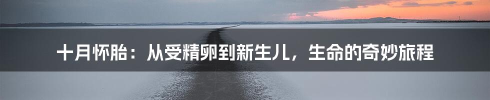 十月怀胎：从受精卵到新生儿，生命的奇妙旅程