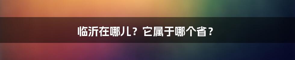 临沂在哪儿？它属于哪个省？