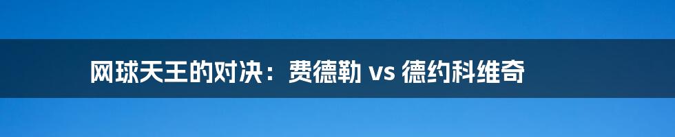 网球天王的对决：费德勒 vs 德约科维奇