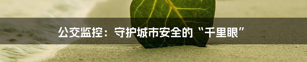 公交监控：守护城市安全的“千里眼”