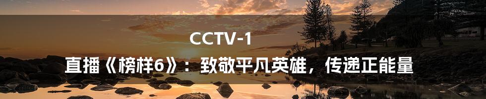 CCTV-1 直播《榜样6》：致敬平凡英雄，传递正能量