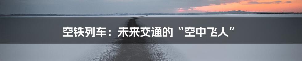 空铁列车：未来交通的“空中飞人”