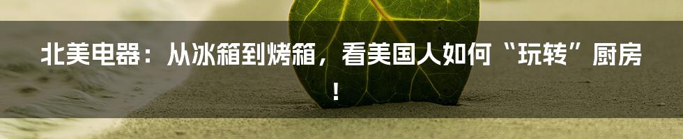 北美电器：从冰箱到烤箱，看美国人如何“玩转”厨房！